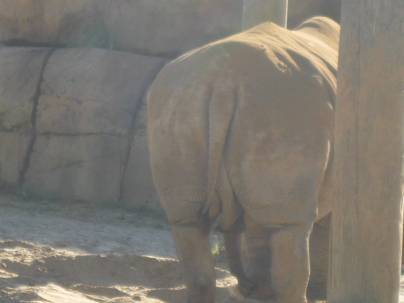 My Next Christmas Card