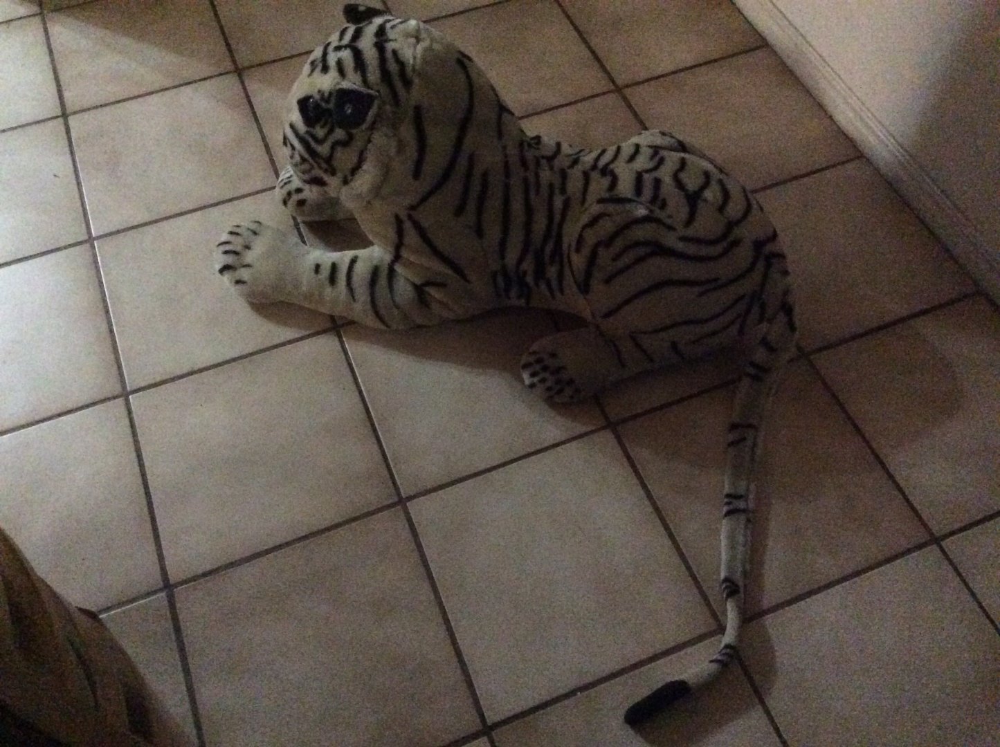 My pet white bengal tiger ( jk)