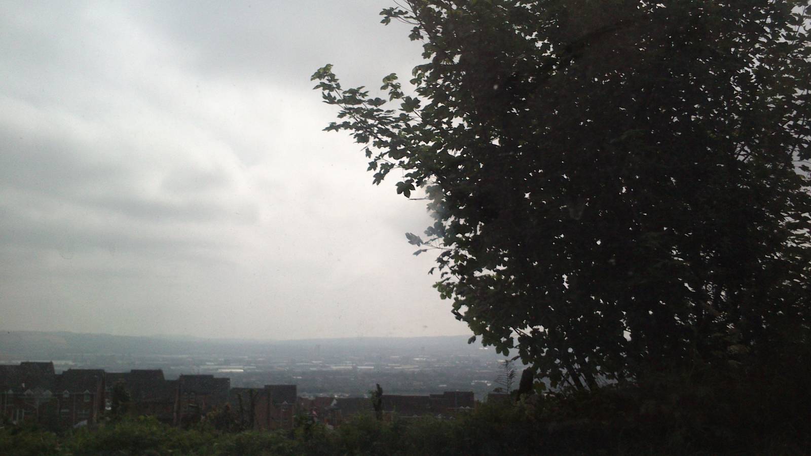 my phone pictures of Belfast Zoo 21/07/2013