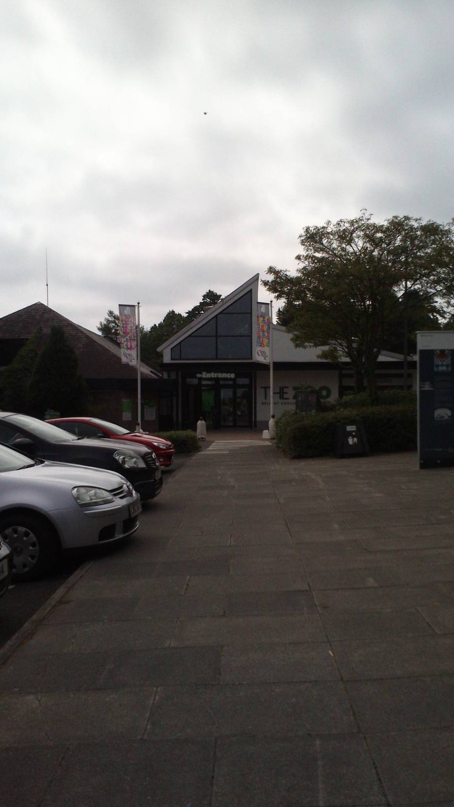 my phone pictures of Belfast Zoo 21/07/2013