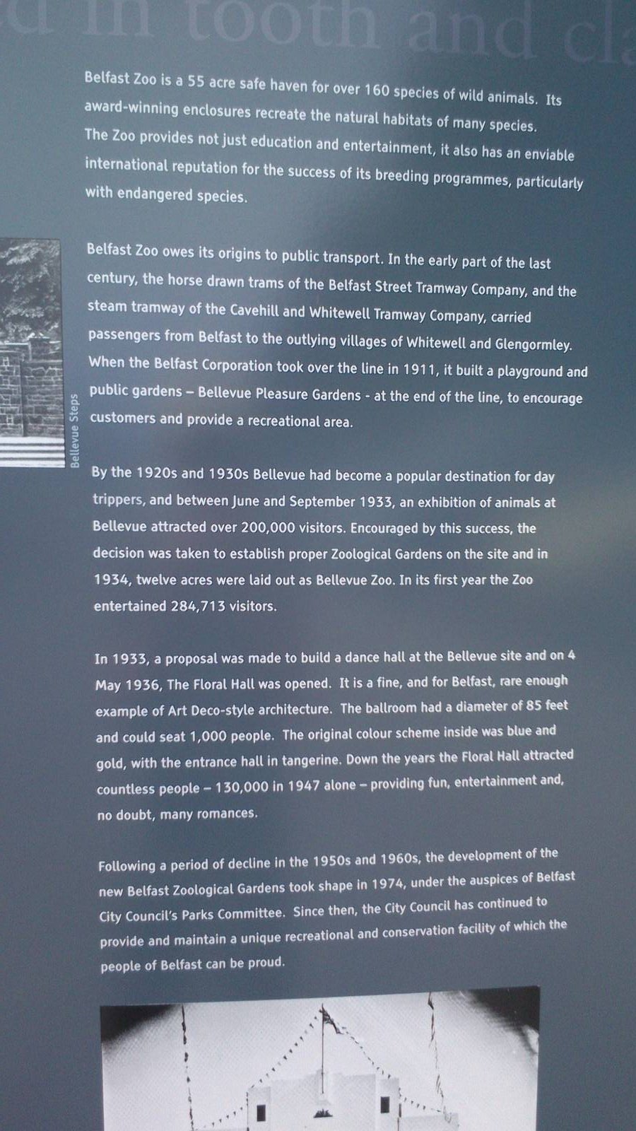 my phone pictures of Belfast Zoo 21/07/2013