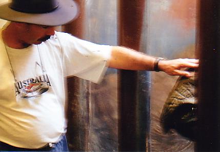 My self patting Patrick @ Toronto zoo (off exhibit) Toronto zoo Canada