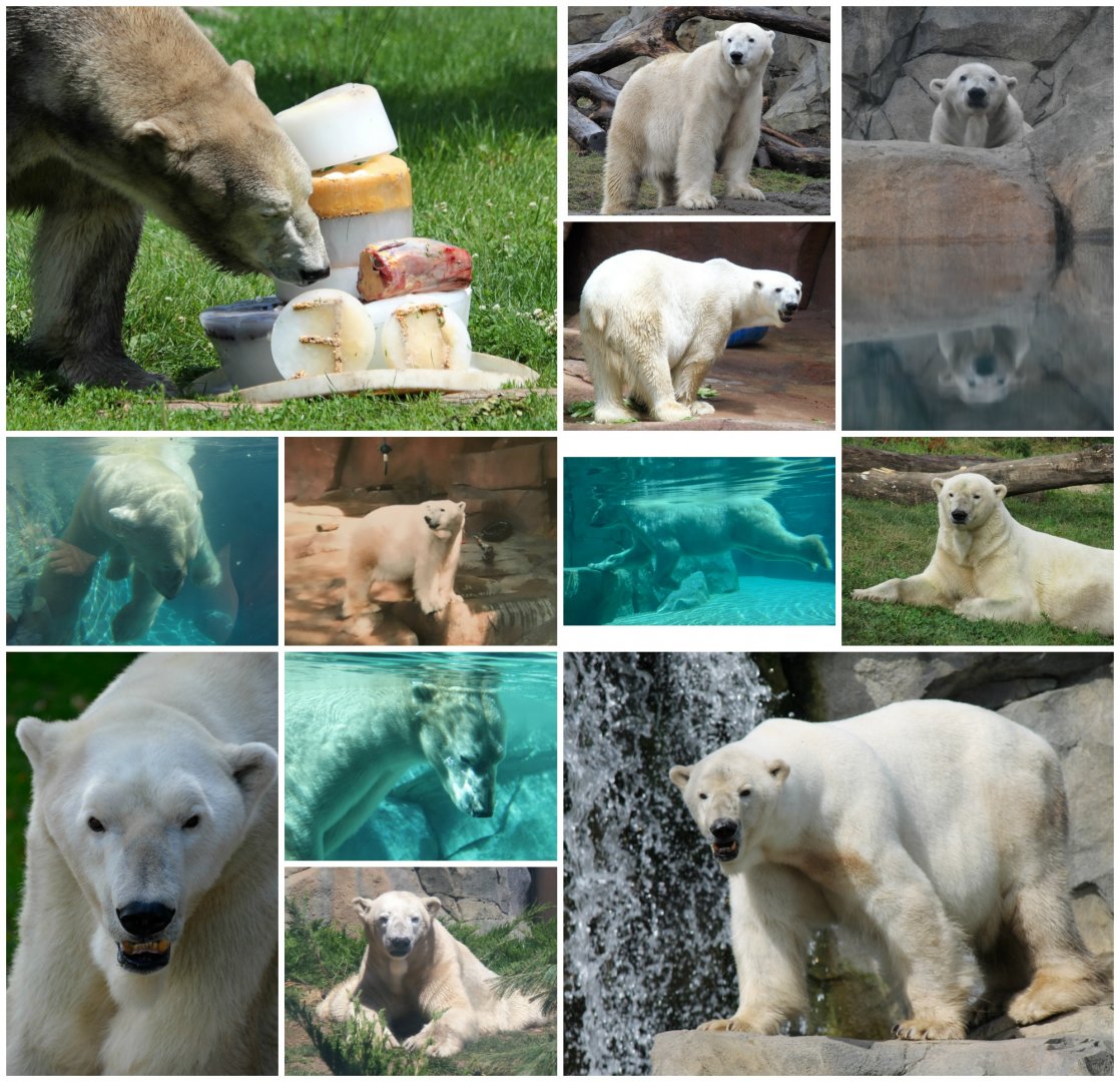 My tribute to Aussie - RIP buddy