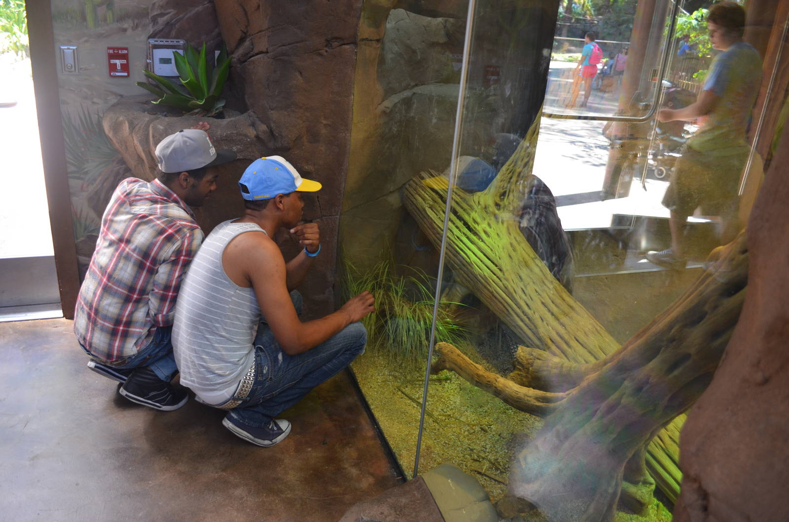 My Two Sons First Visit To LAIR