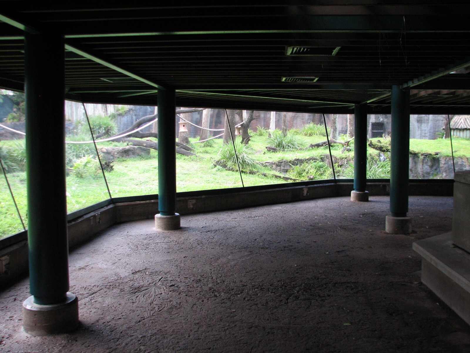 Myombe Reserve - Chimpanzee Exhibit