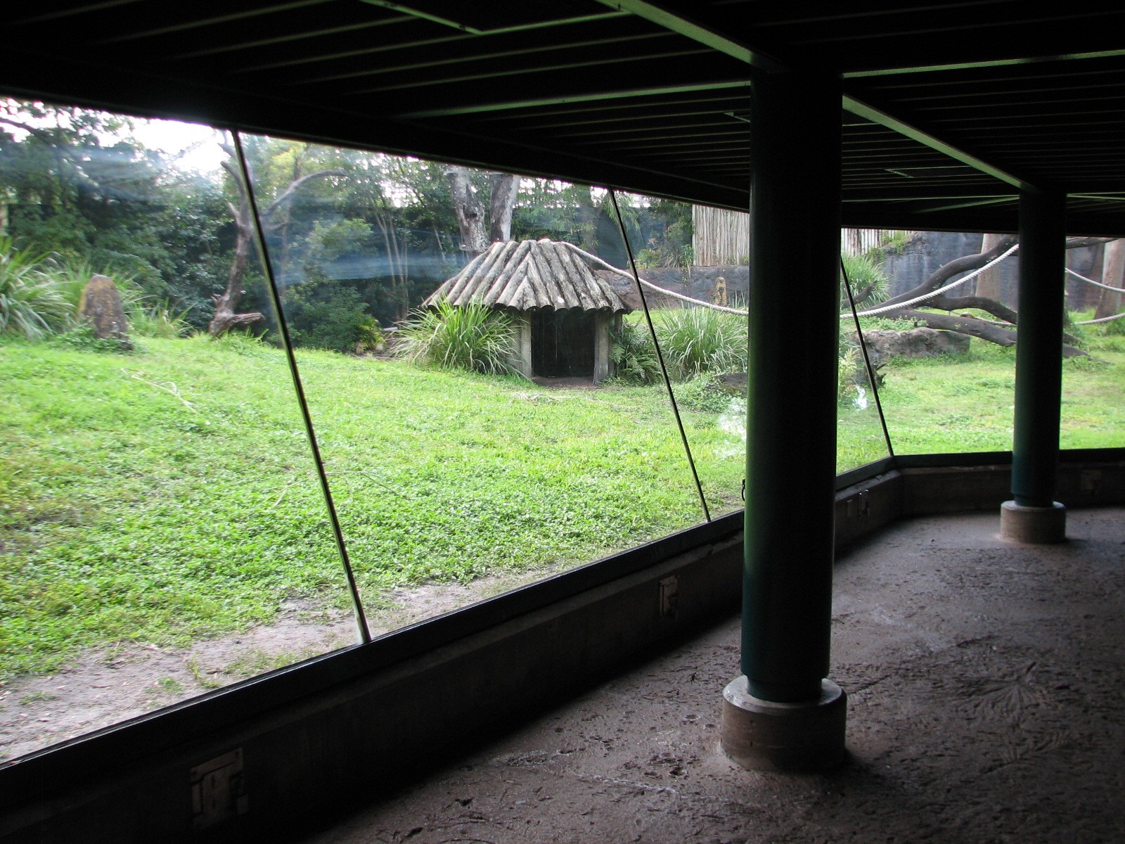 Myombe Reserve - Chimpanzee Exhibit