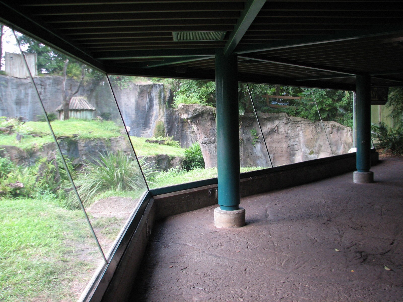 Myombe Reserve - Chimpanzee Exhibit