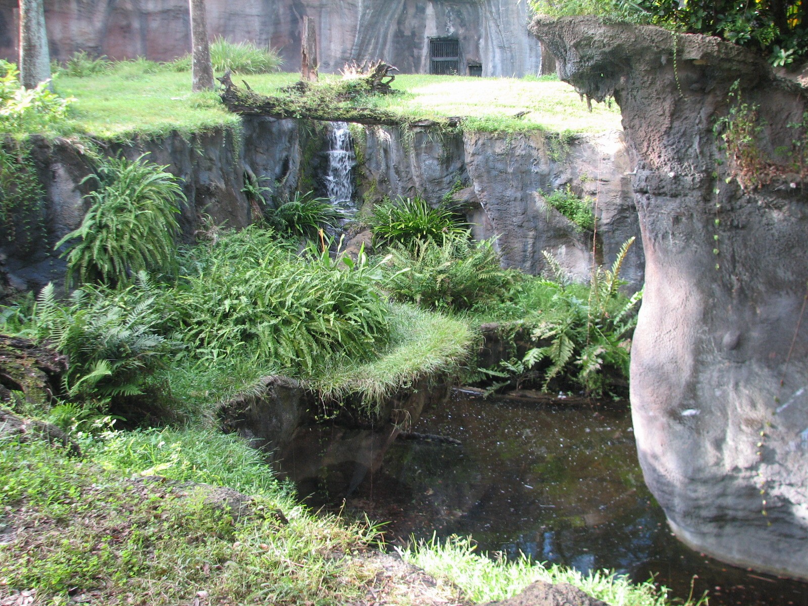 Myombe Reserve - Chimpanzee Exhibit