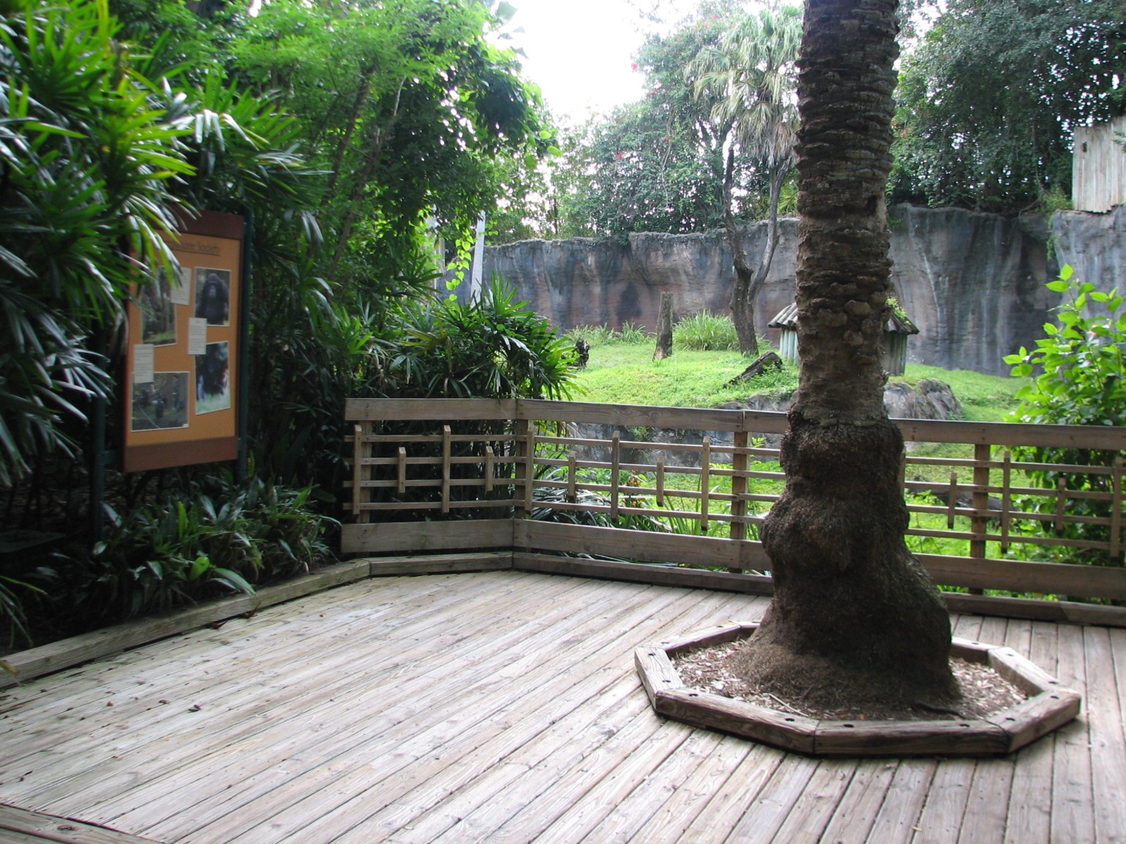 Myombe Reserve - Chimpanzee Exhibit