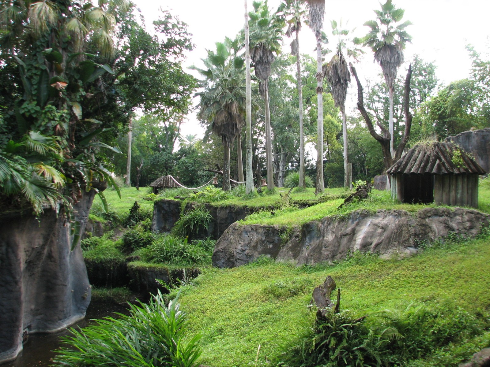 Myombe Reserve - Chimpanzee Exhibit