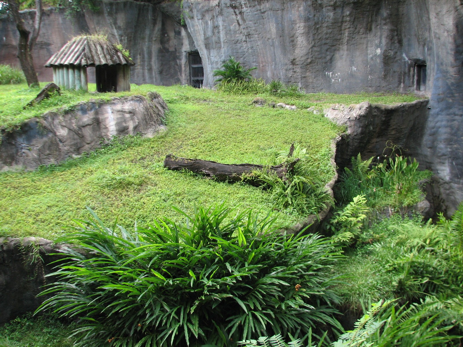 Myombe Reserve - Chimpanzee Exhibit