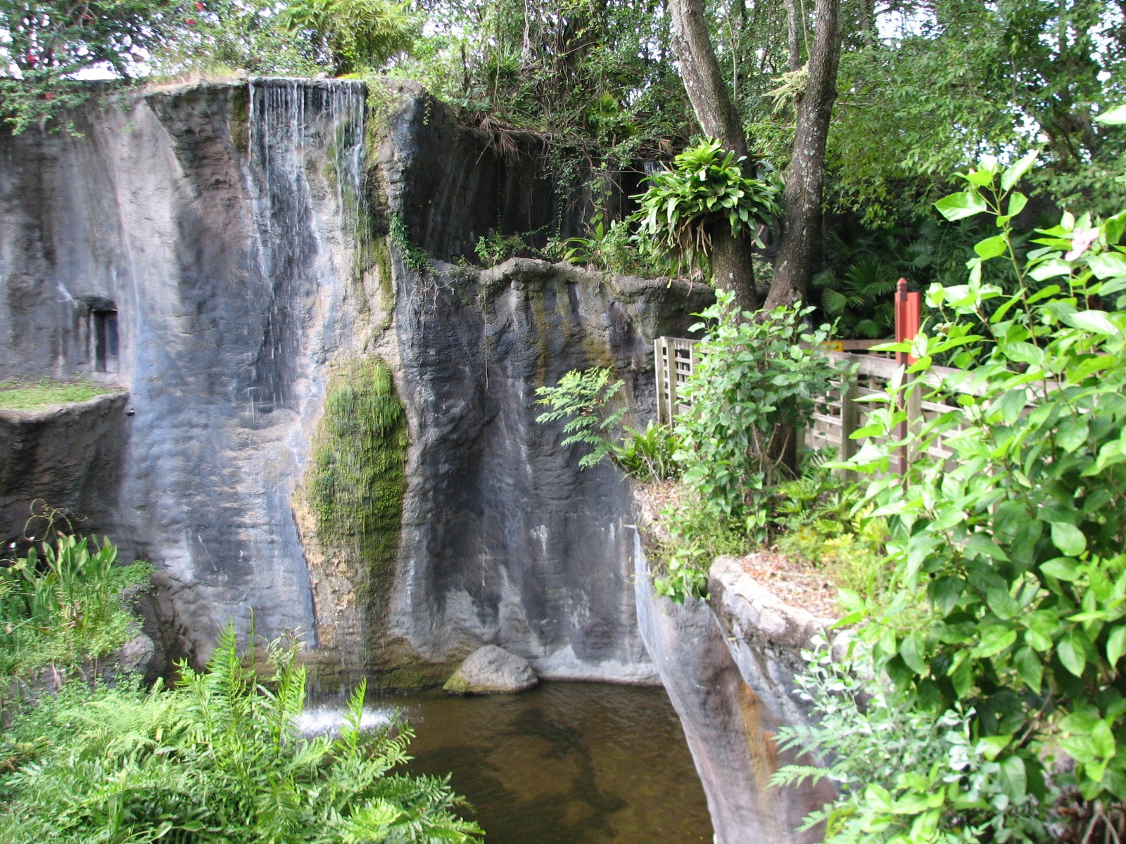 Myombe Reserve - Chimpanzee Exhibit