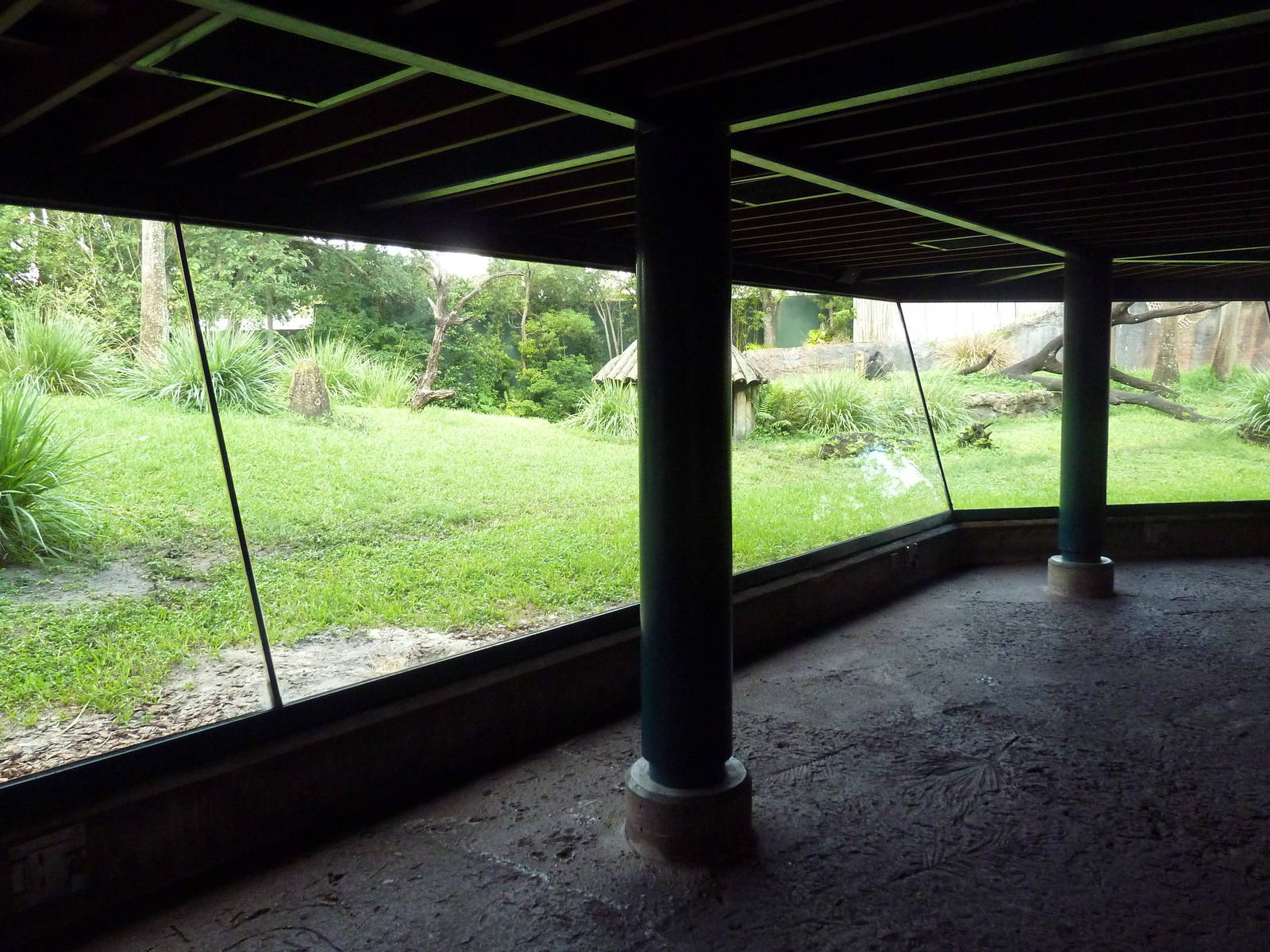 Myombe Reserve - Chimpanzee Exhibit