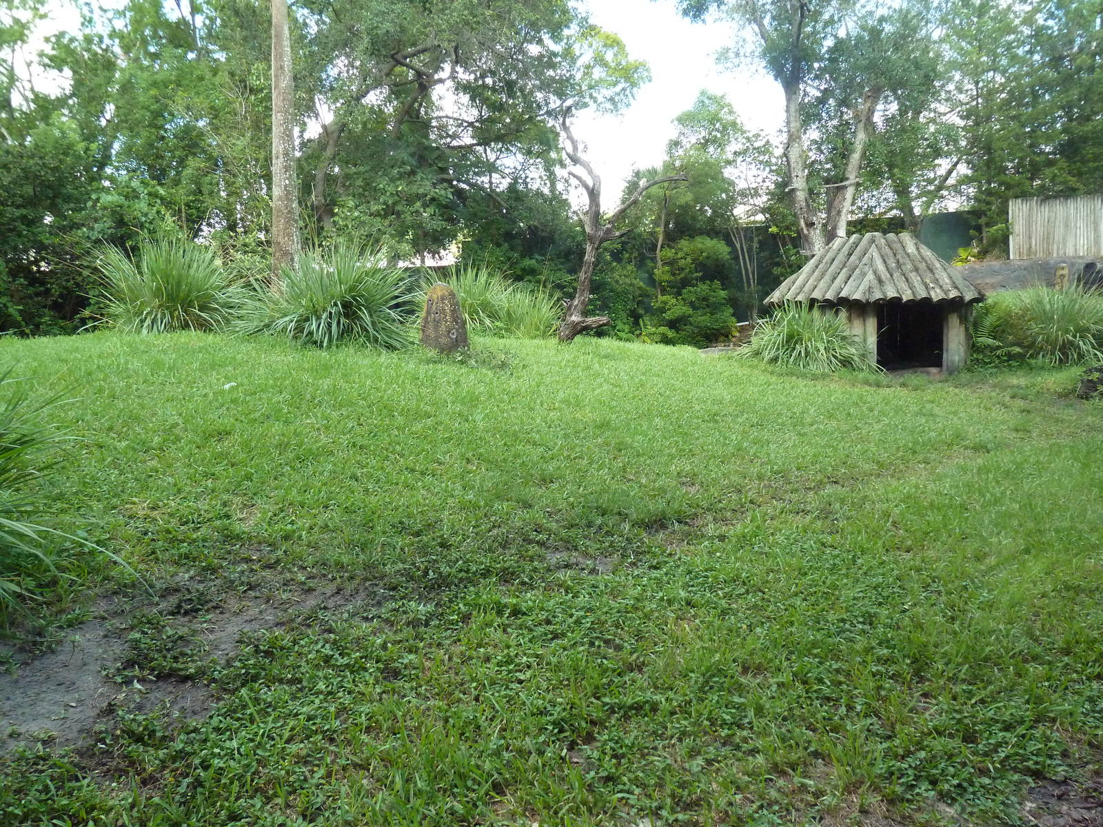Myombe Reserve - Chimpanzee Exhibit