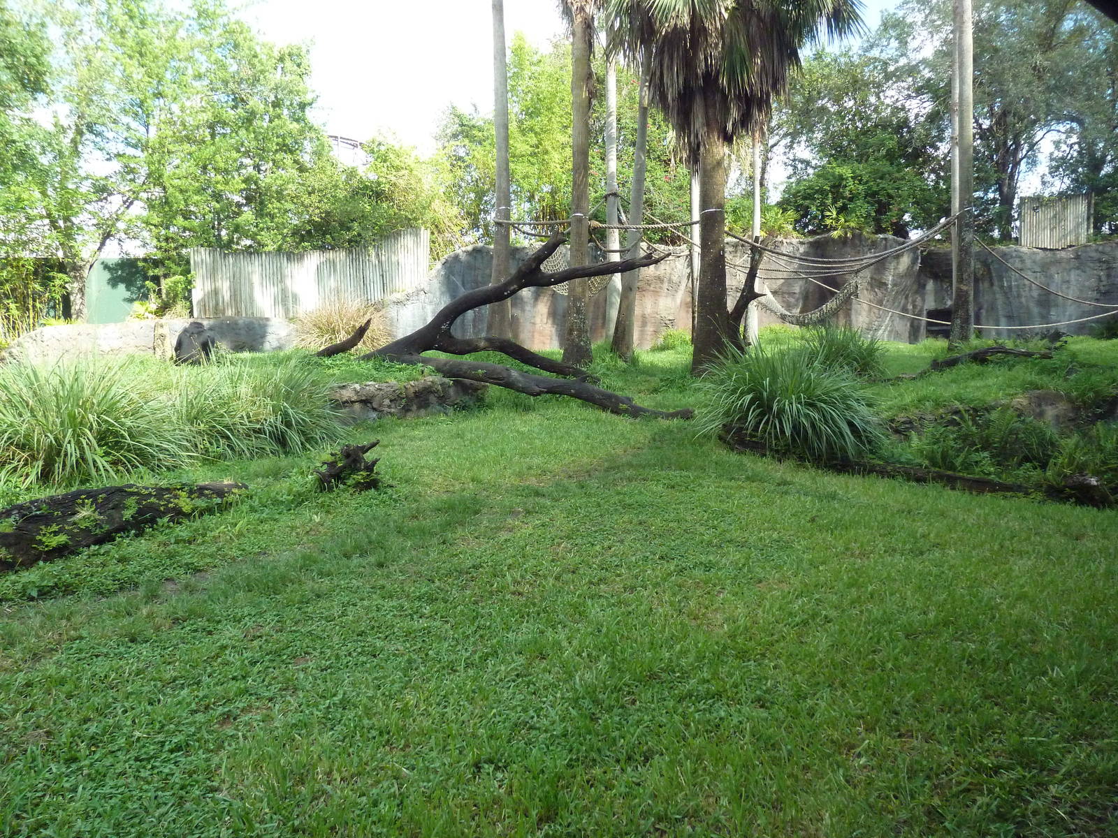 Myombe Reserve - Chimpanzee Exhibit