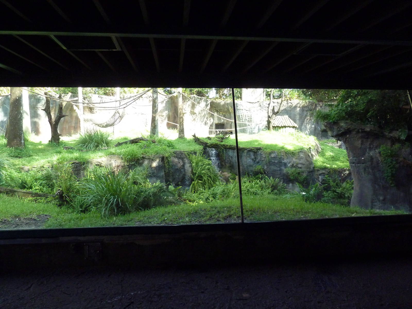 Myombe Reserve - Chimpanzee Exhibit