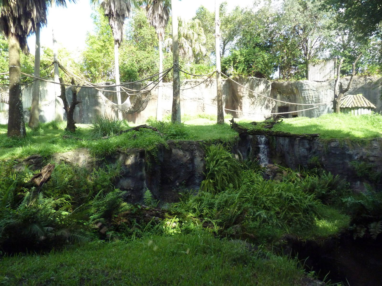 Myombe Reserve - Chimpanzee Exhibit