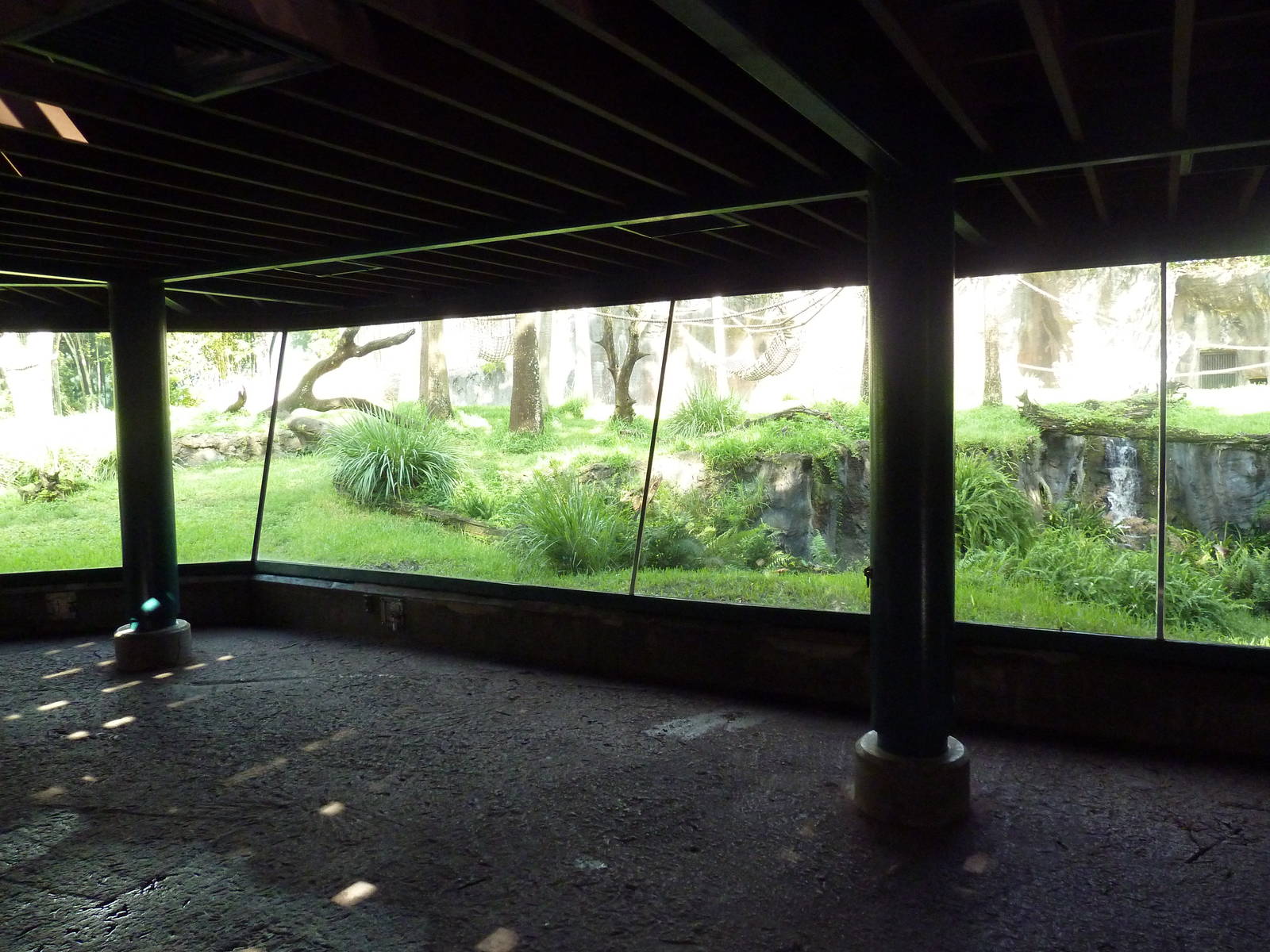 Myombe Reserve - Chimpanzee Exhibit
