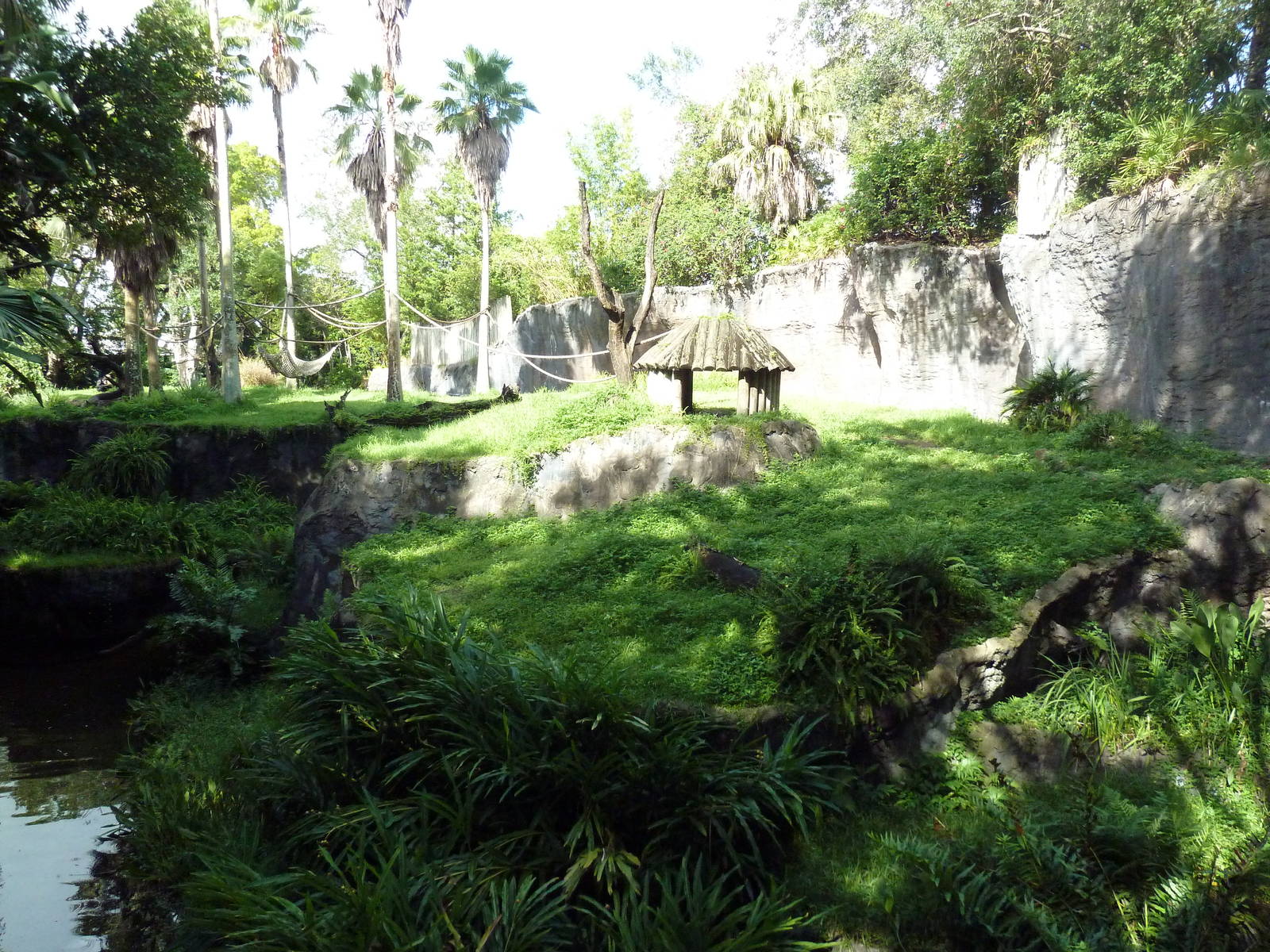 Myombe Reserve - Chimpanzee Exhibit