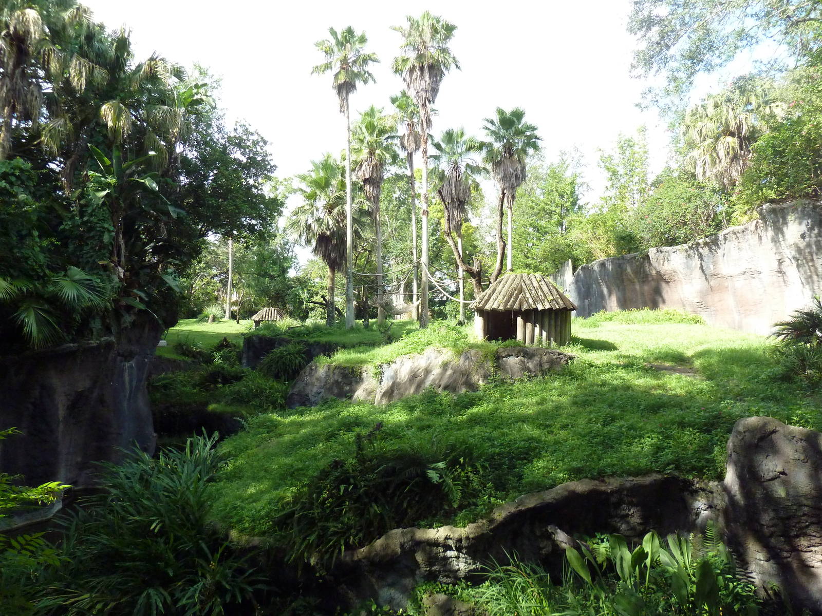 Myombe Reserve - Chimpanzee Exhibit