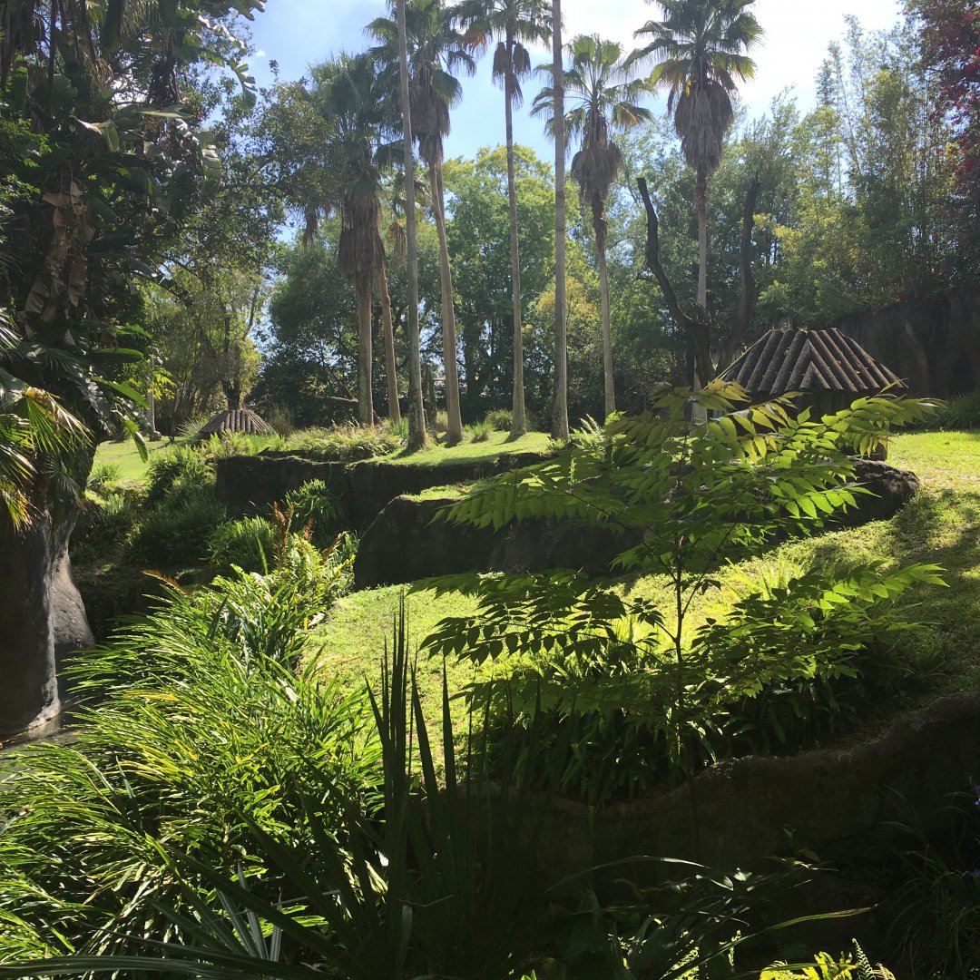 Myombe Reserve - Chimpanzee Exhibit