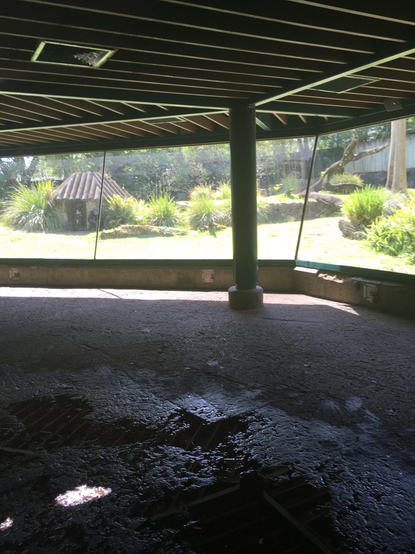 Myombe Reserve - Chimpanzee Exhibit