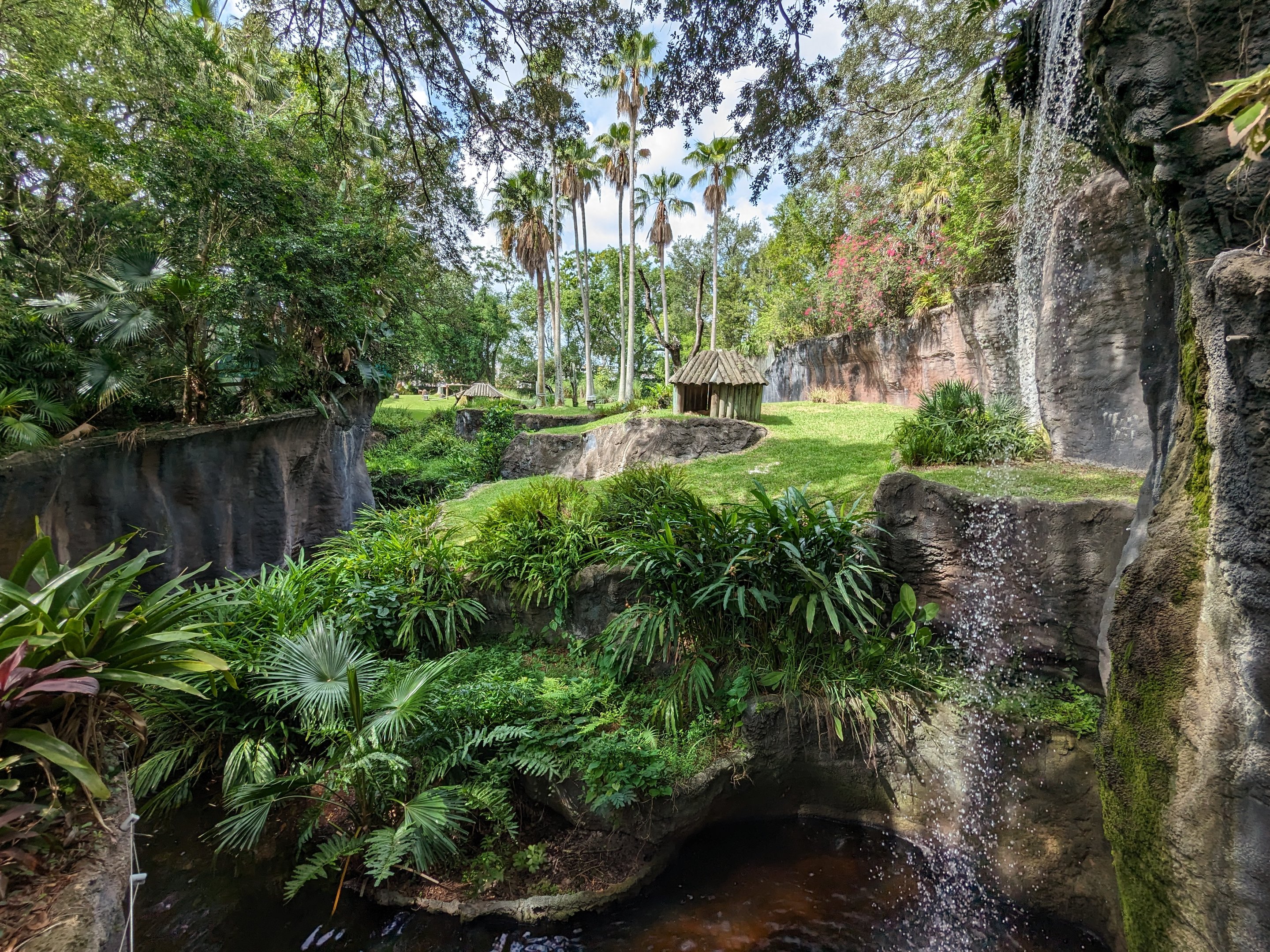 Myombe Reserve - Chimpanzee habitat view
