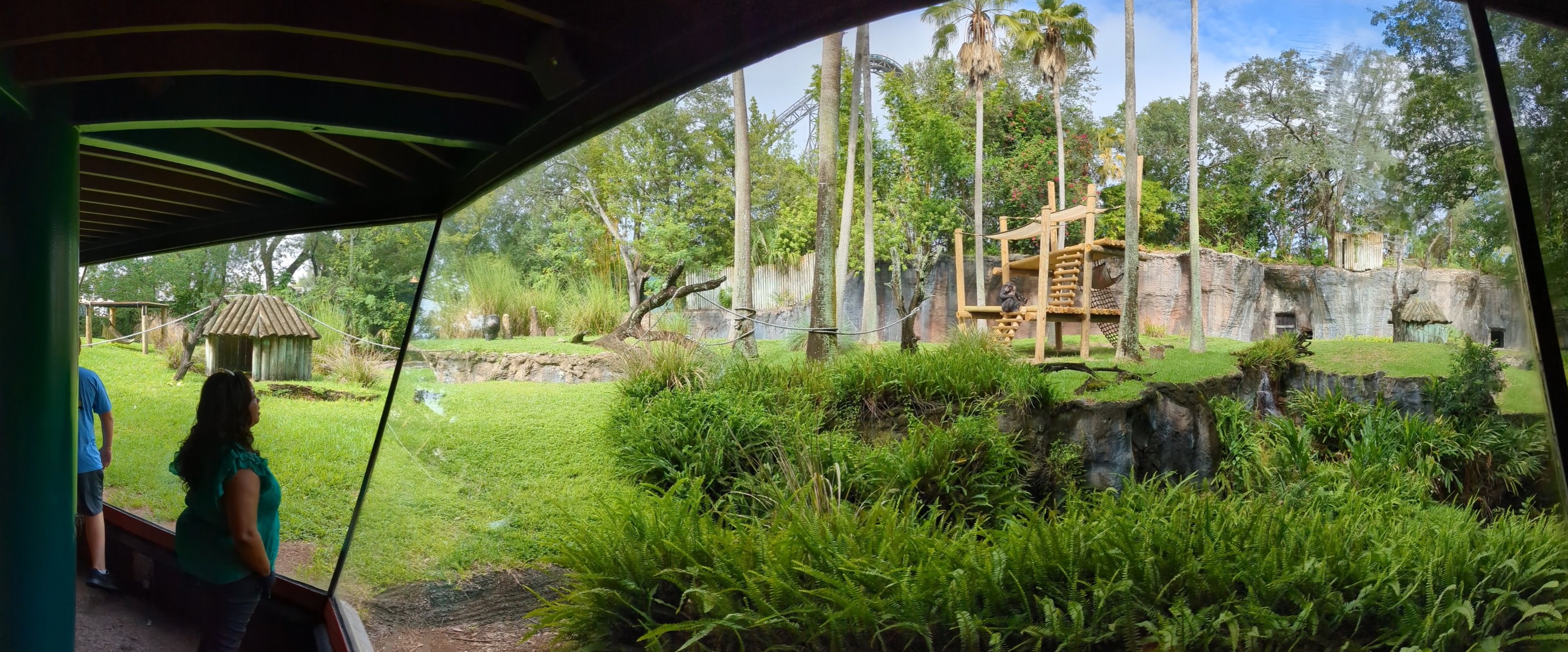 Myombe Reserve - Chimpanzee habitat