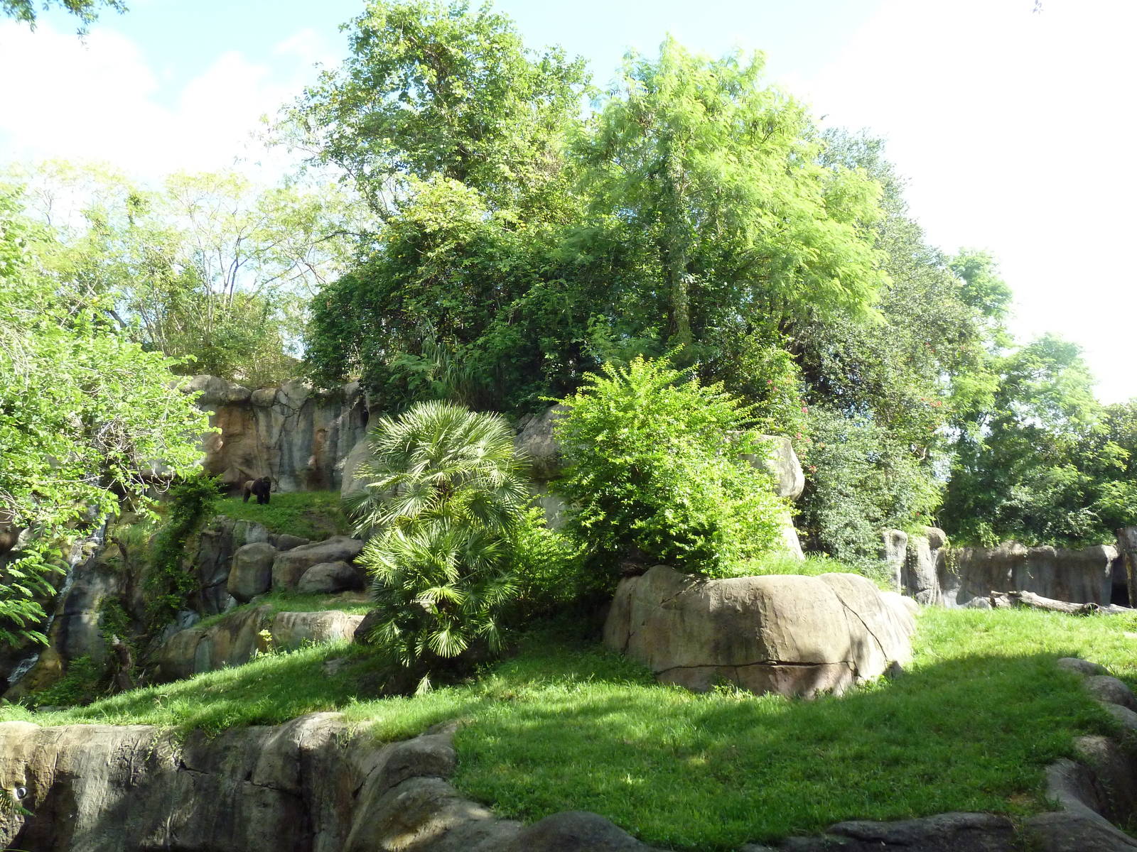 Myombe Reserve - Gorilla Exhibit - See the Gorilla?