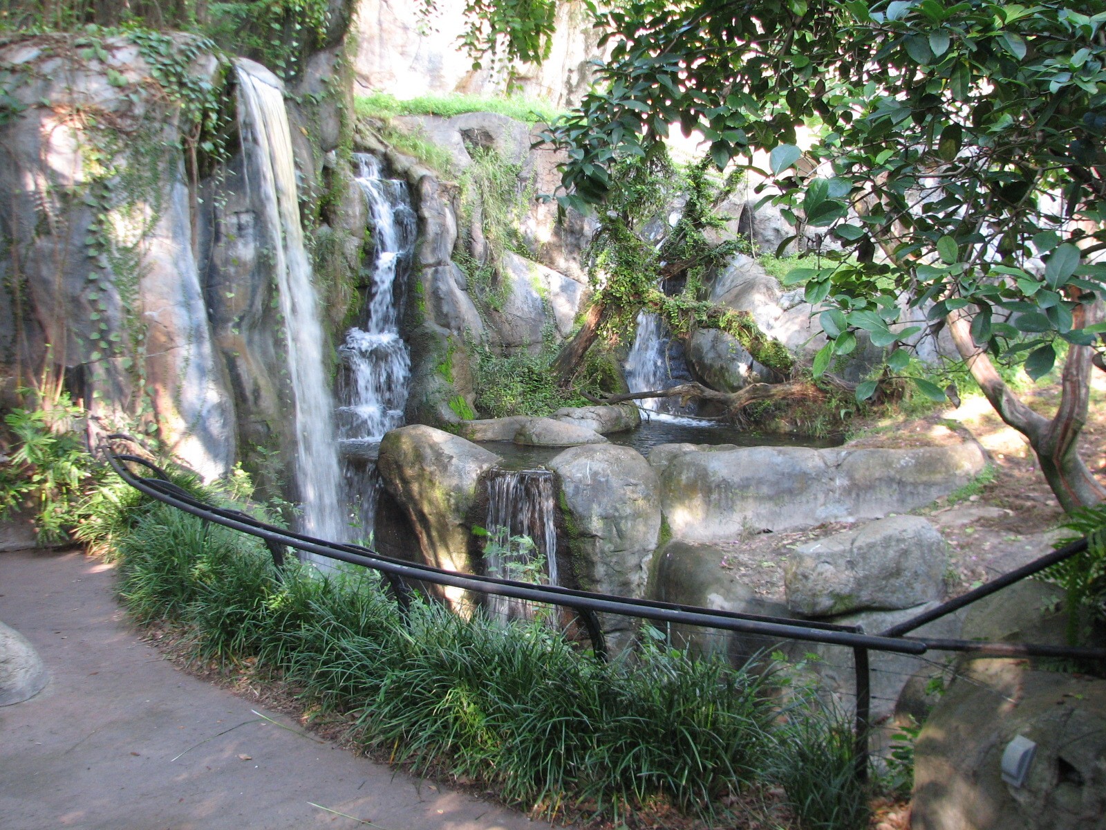 Myombe Reserve - Gorilla Exhibit