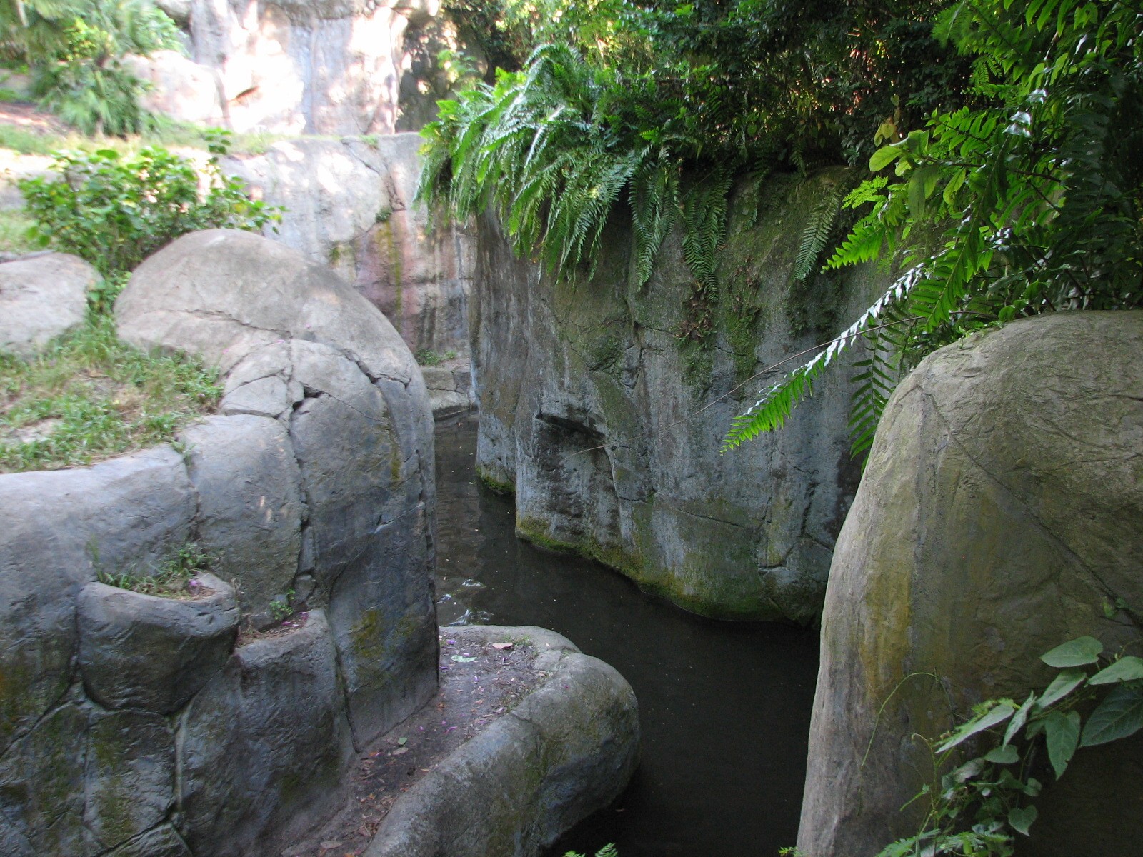 Myombe Reserve - Gorilla Exhibit