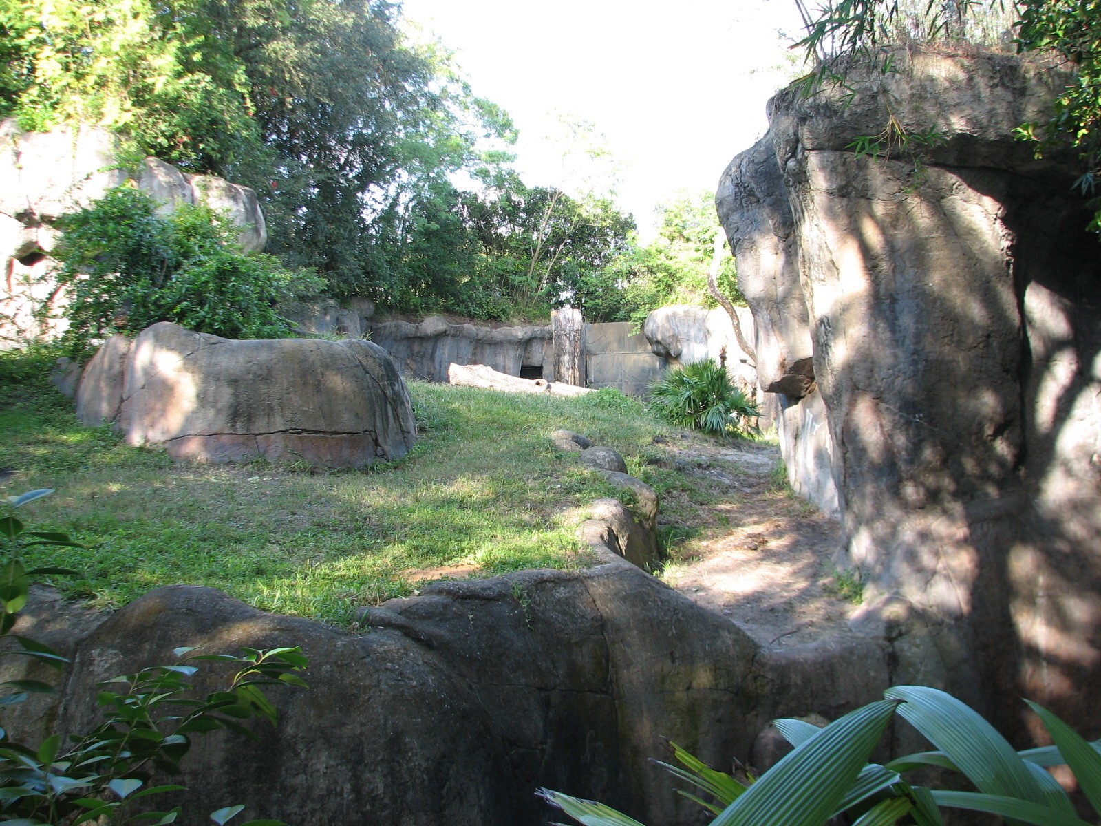 Myombe Reserve - Gorilla Exhibit