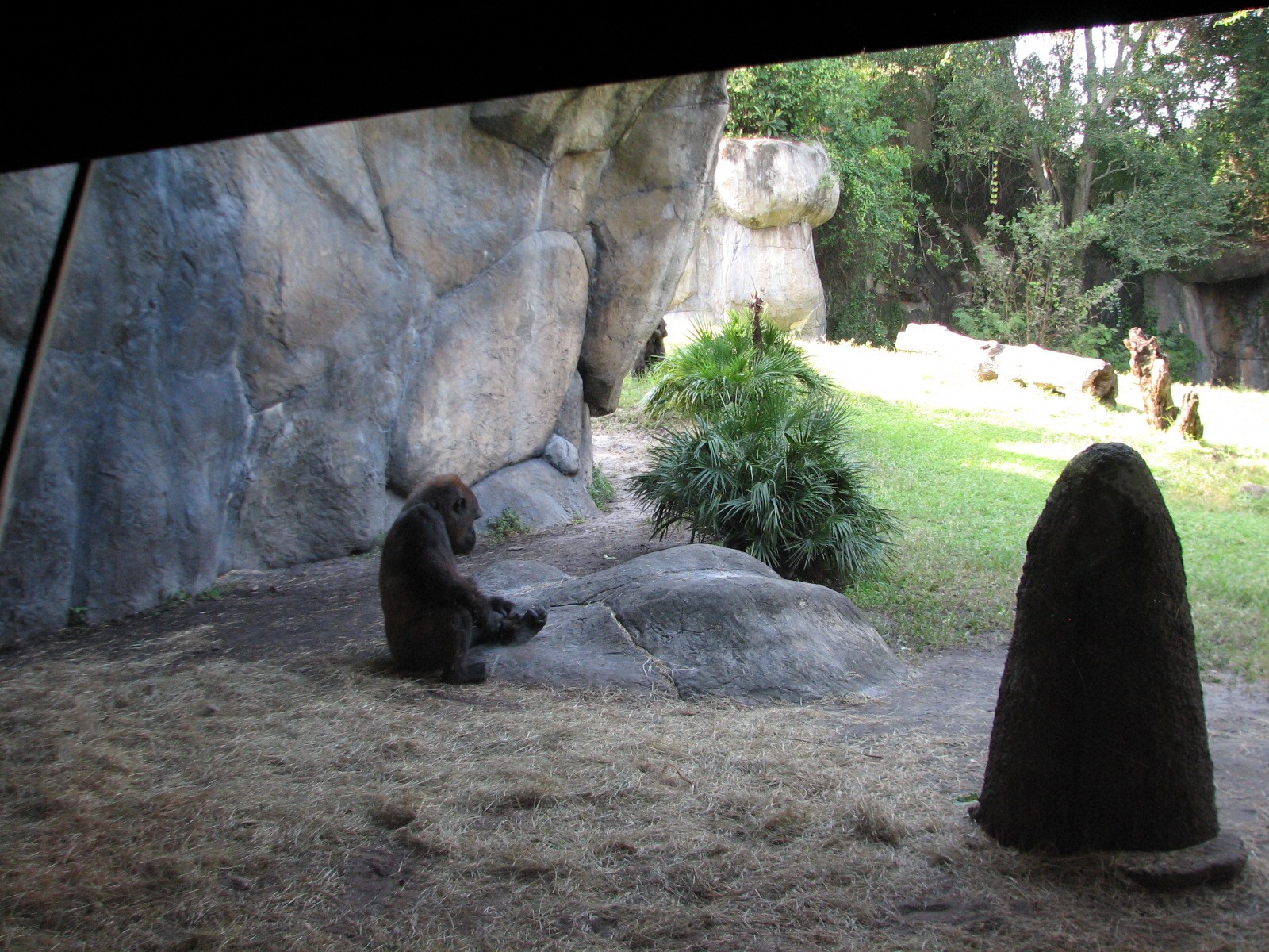 Myombe Reserve - Gorilla Exhibit