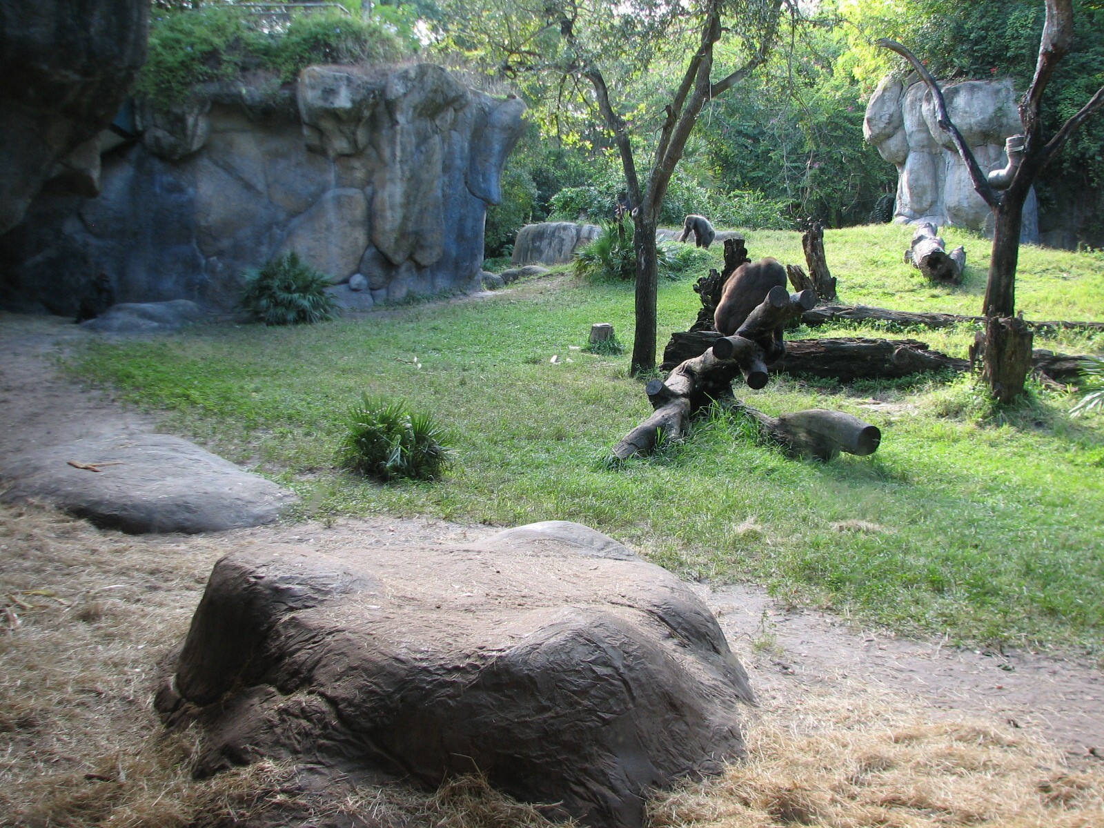 Myombe Reserve - Gorilla Exhibit
