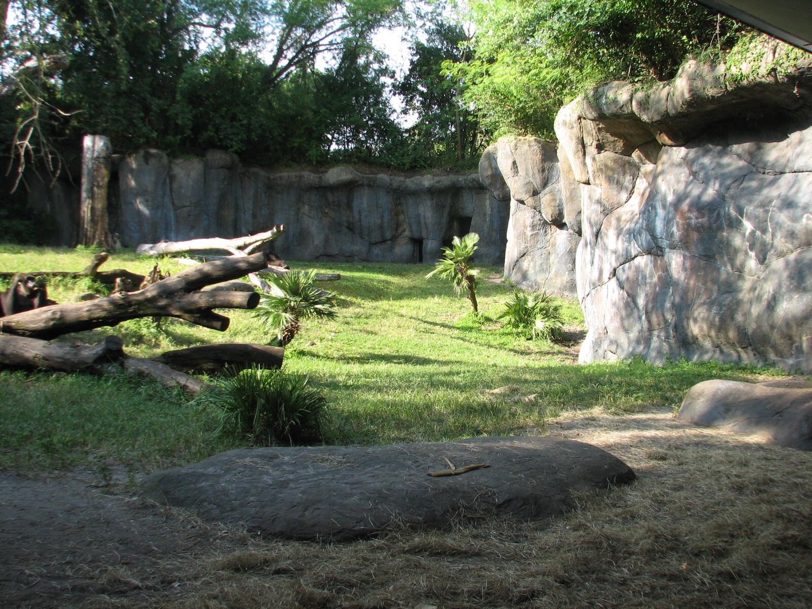 Myombe Reserve - Gorilla Exhibit