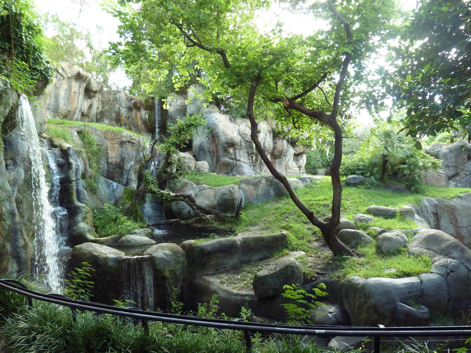 Myombe Reserve - Gorilla Exhibit