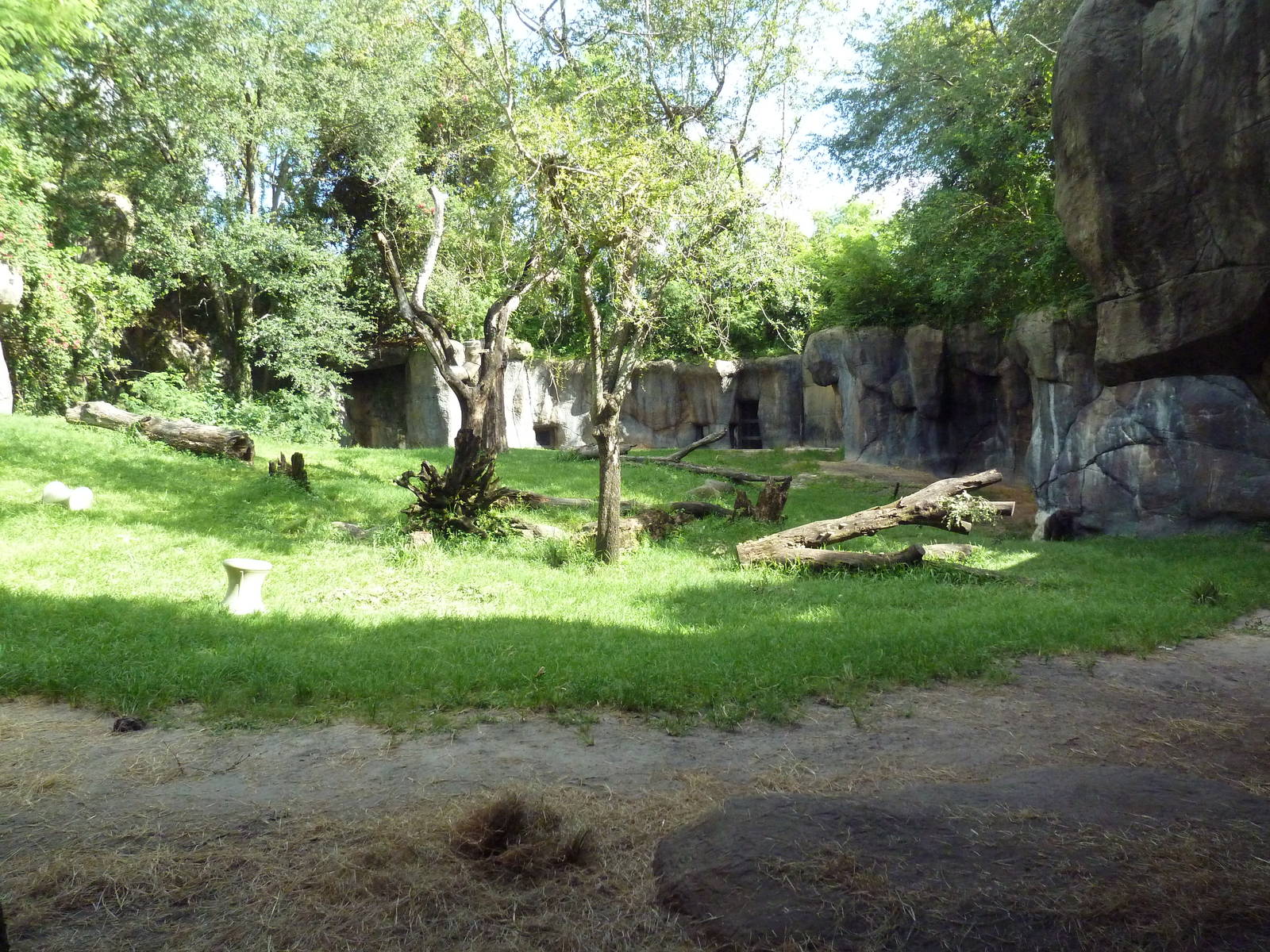 Myombe Reserve - Gorilla Exhibit