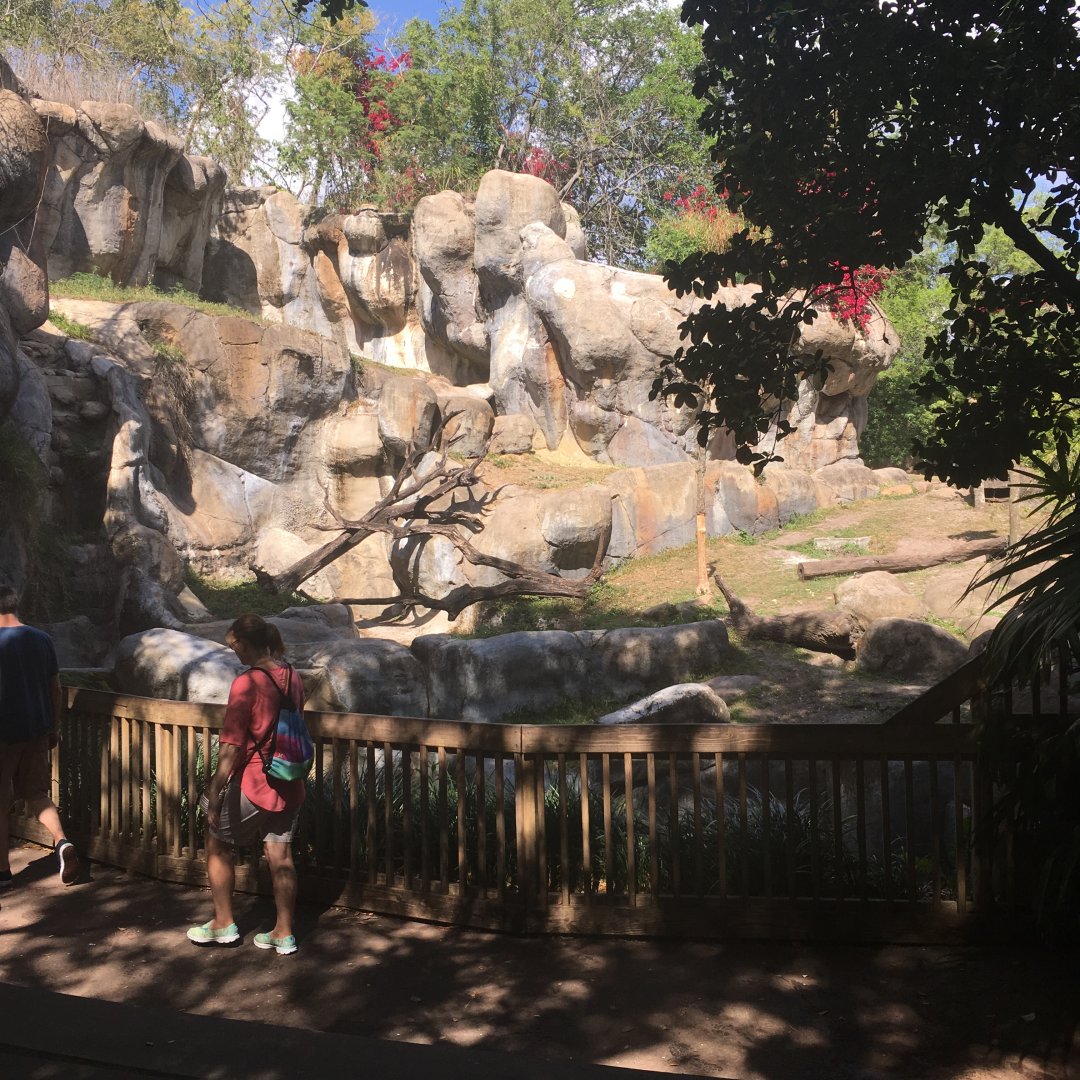 Myombe Reserve - Gorilla Exhibit