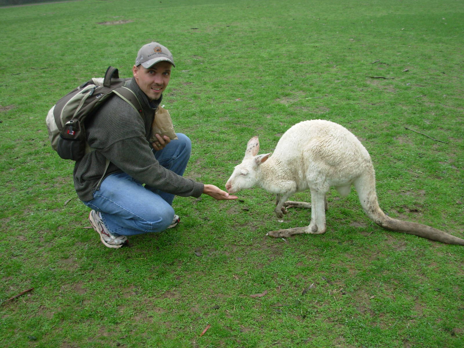 Myself and an albino roo - Cleland Wildlife Park