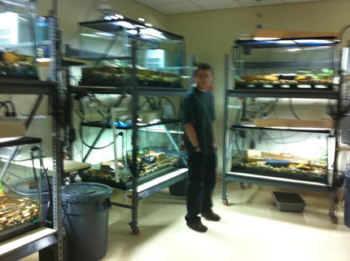 Myself in Off exhibet reeding centre for endangered frogs native to the San