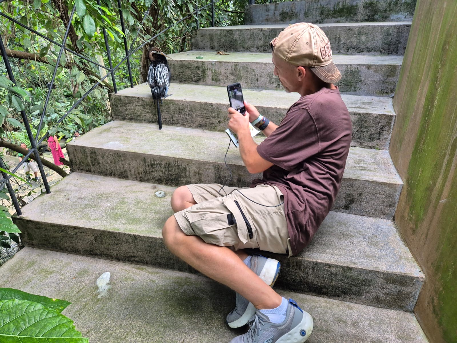 Myself + Oriental Darter (Papua Aviary)