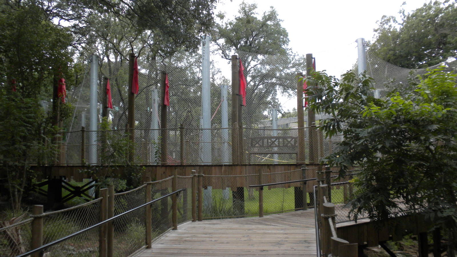 Mysteries of the Asian Forest