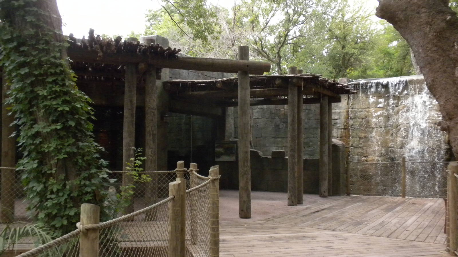 Mysteries of the Asian Forest