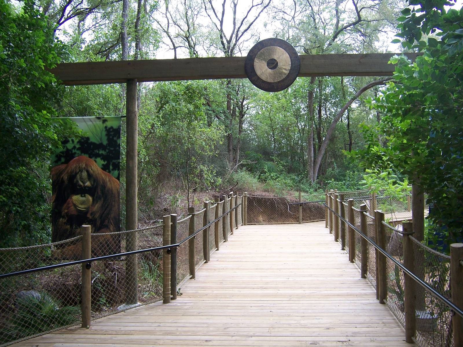 Mysteries of the Asian Forest