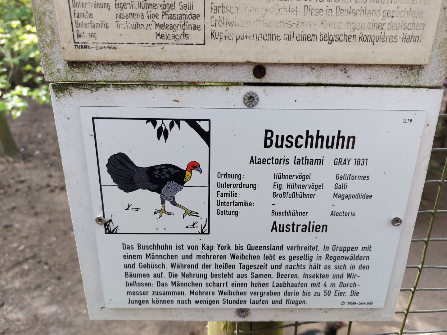Mysterious Bushturky sign