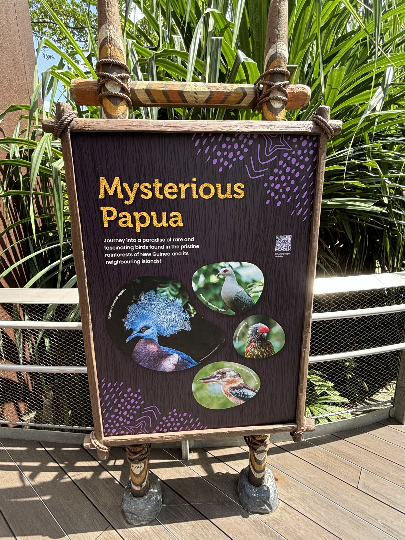 Mysterious Papua Aviary - circa 15 species
