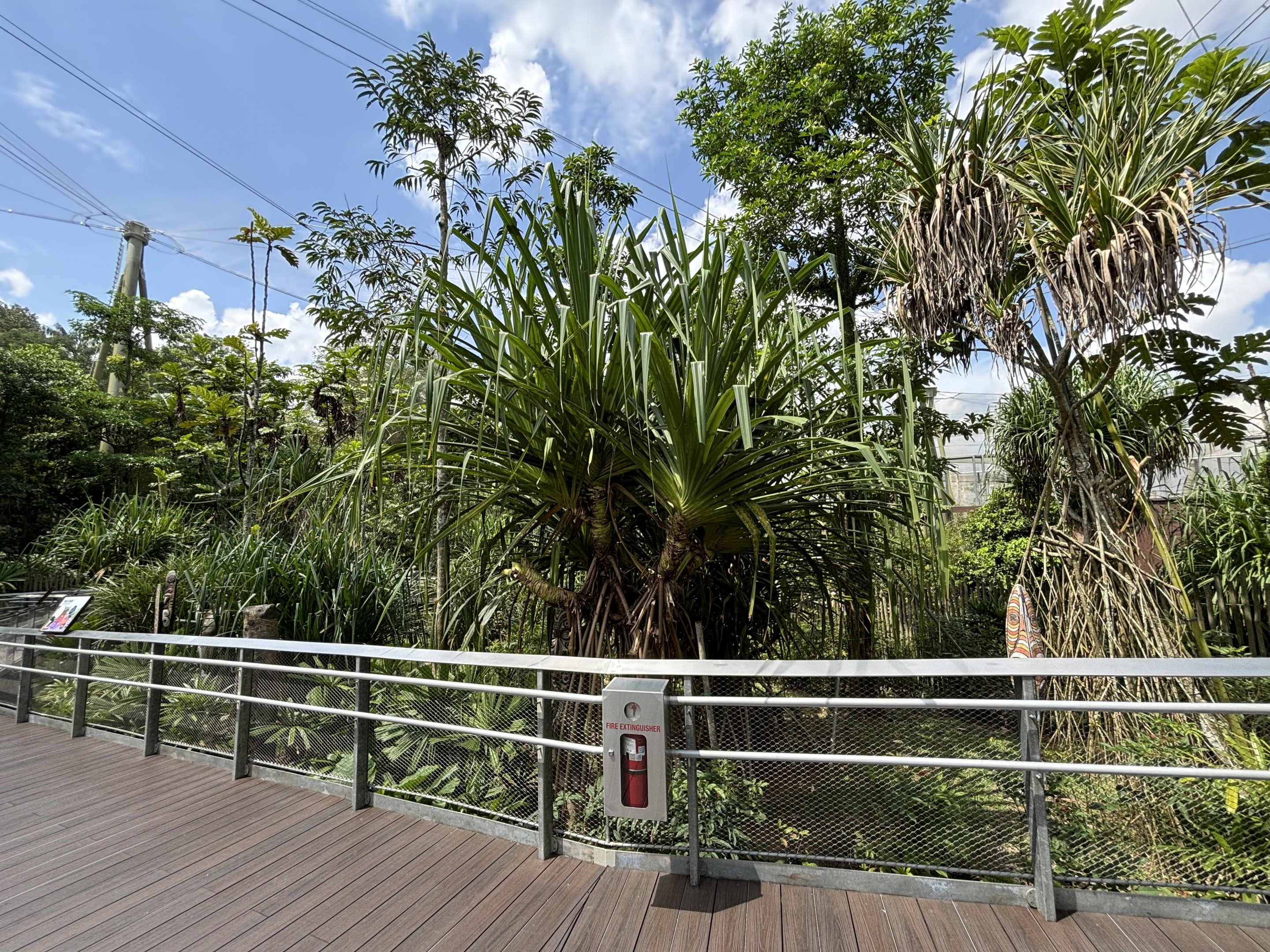 Mysterious Papua Aviary