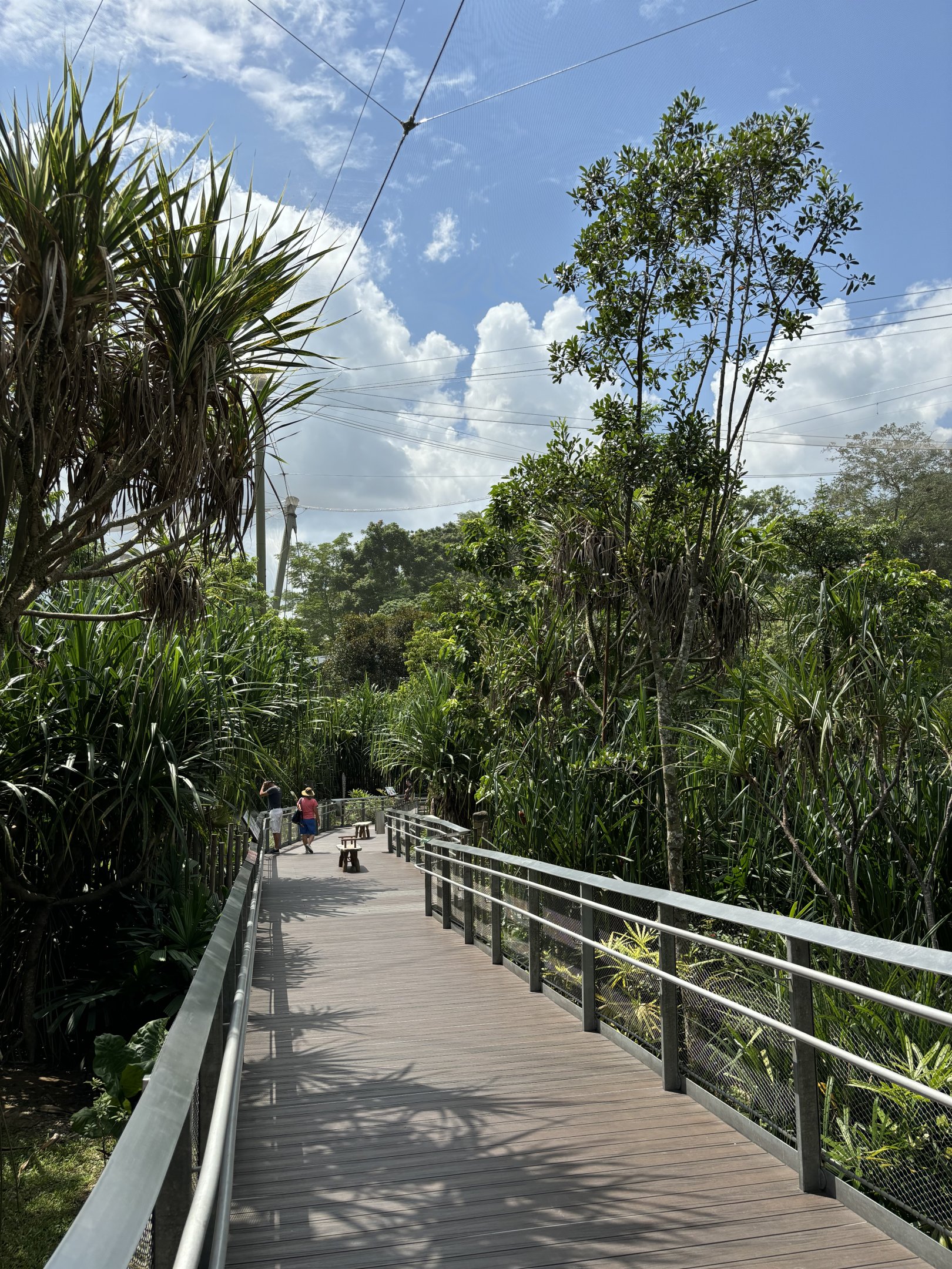 Mysterious Papua Aviary