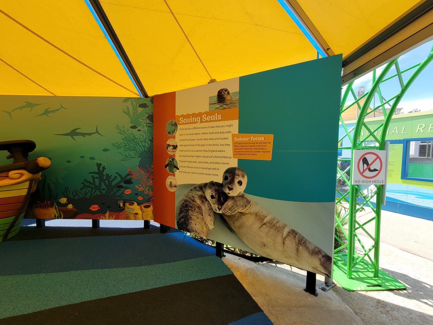 Mystic Aquarium - New playground