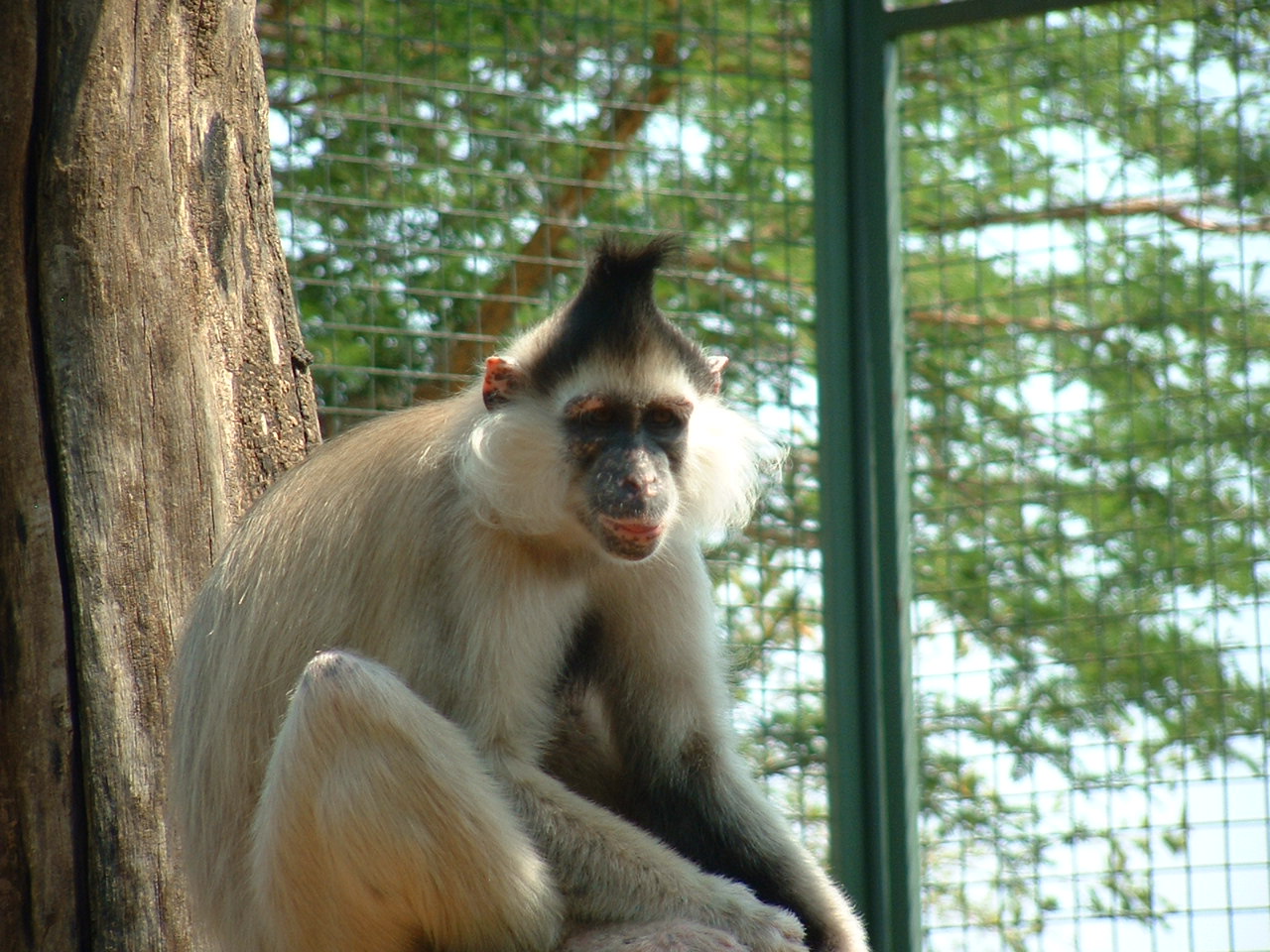 Mystic Monkeys Wildlife Park